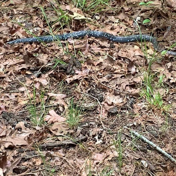 Everything i Can - Picture 15 of 15